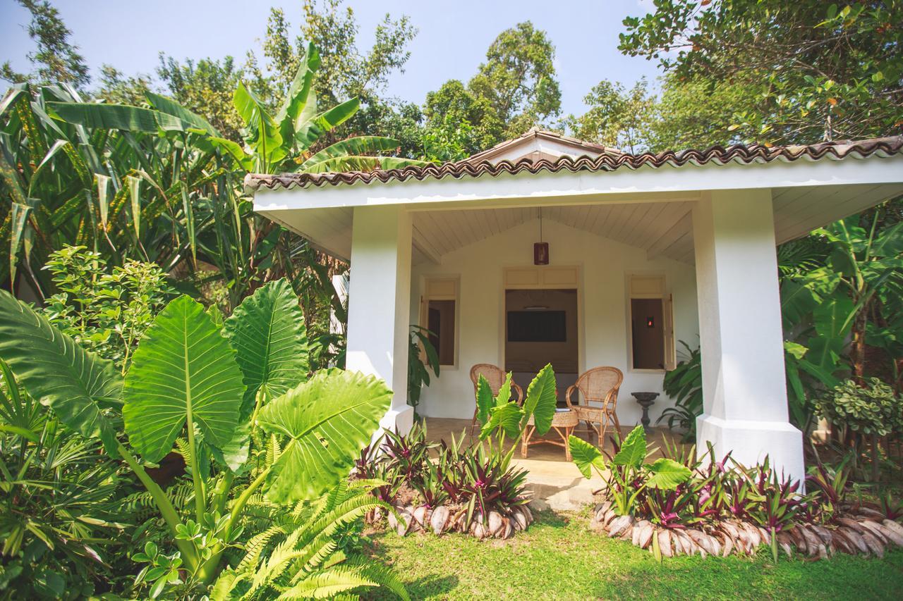 Karmel Villa Thalduwa Island - Five Bedroom Luxury Villa With Private Pool Ахангама Экстерьер фото